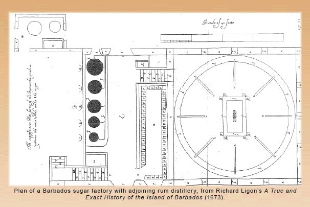 American Rum: a rum distillery in the XVII century